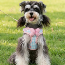 홈온리 아기 강아지 하네스 리드줄, 1세트, 핑크블루