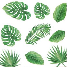 몬스테라 냅킨 K-24-029, 1개, 20개