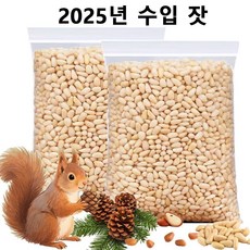 수입 잣 야생잣 견과류 잣, 1개, 250g