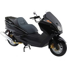 아오시마 문화 교재사 1/12 바이크 시리즈 No.49 야마하 마제스티C 커스텀 파츠 포함 프라모델