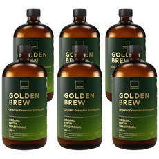 골든브루 유기농 그린티 콤부차 오리지널, 6개, 480ml