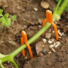 식물고정 클립 50P 가드닝용품, 1개