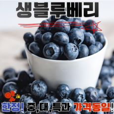 탱글한 식감 상큼한 맛 수입 생 블루베리 중 대과 가격 동일, 1개, 14-16mm 500g (125gx4)