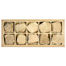 지질 대리암 표본 10개입 변성암 암석 분류 창의사고 관찰학습