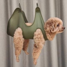 寵物美容架寵物犬寵物貓自助美容吊床剪指甲方便的寵物美容工具, 1個, 綠色