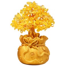 Geumtem 市場金錢樹