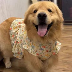 桃園出貨 金毛薩摩耶拉布拉多阿拉斯加薩摩大狗狗衣服大型犬公主裙夏季薄款, 小裙子（春暖花開）,2XL（建議35.0-40.0公斤）, 1個