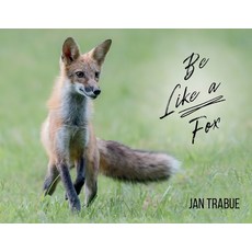 (영문도서) Be Like a Fox Paperback, Haleya Publishing, English, 9781962704991