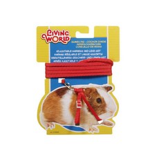 기니피그 전용 하네스 리드줄, 특가할인