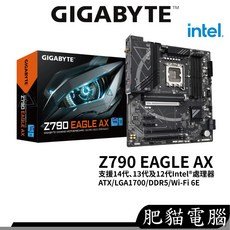 GIGABYTE 技嘉 Z790 EAGLE AX 主機板, 1個, Z790 EAGLE AX DDR5