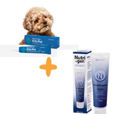 [반려동물]노령견 면역 피부 세트 키토펫 10g + 뉴트리젠 오메가3 (무료배송), 1개, 면역/항산화, 130g