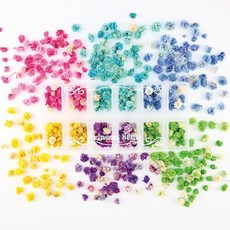 Princess-style かす 미초 드라이 플라워 꽃머리 피어난 꽃 네일 레진 포함 소재 재료 꽃 재료 12칸 케이스 포함 6색 세트