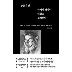 잠들기 전 마지막 생각이 내일을 결정한다:매일 밤 소란한 나를 다스리는 머리맡 철학 수업, 김범준 저, 웨일북(whalebooks)