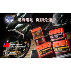 楊梅電池 勁芯鋰鐵電池 LF09 LF10 LF12 LF-5L 6V 8VH 8VS 送充電器, 1個, 高4號5ah120a125cc內LF5S