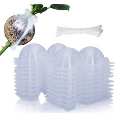 집 타이가 있는 MIIIM 10 PCS 공기층 전파 키트 재사용 가능한 반투명 접목 볼 포드 클리어 빠른 식물을 위한 식물 뿌리 상자(중형), Small