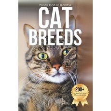 (英文圖書)Picture Book of Beautiful Cat Breeds: Designed for Seniors Living with Memory Lo... 平裝版, Independently Published, 英文