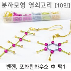 분자모형 열쇠고리(10인)-KTS