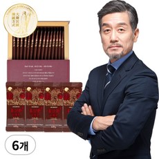 DAEDONG 홍삼정 홍삼환 농축액 원액 진액 엑기스 진세노사이드 맥아추출물 숙지황농축액, 6개, 112.5g