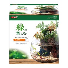 GEX 아쿠아테라 슬로프 테라리움어항, 1개
