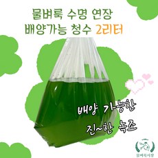 물벼룩 수명 연장 배양가능 청수 - 그린워터 2리터
