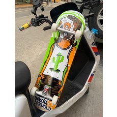 dbh 專業雙翹滑板 美國進口新手魚板 街頭運動短板, 如圖所示, 1個