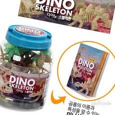 글샵 다이노 스켈레톤 공룡화석