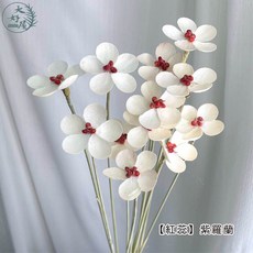 大好屋 DAISUKIYA 紫羅蘭乾燥花束, 紫羅蘭【紅_珠型】