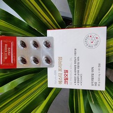 프리미엄 에스디 크릴오일 SDPLATFORM 아미노산 아스타잔틴 인지질 함유[100% 크릴오일], 1개, 60정