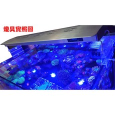 【JKS】高功率 LED 海水軟體培育燈 植物燈 - 增豔燈 日出日落定時, 1個, 植物增豔燈,3尺(無定時版本)