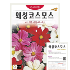 왜성코스모스 씨앗 (200립) 키가 작은 난쟁이코스모스 종묘 종자 씨 영웅, 1개
