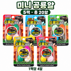 미니 공룡알 키우기 부화 관찰놀이 5팩 총20알, 5세트