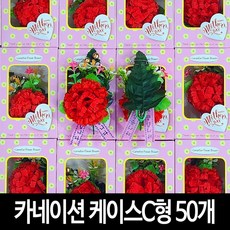 카네이션 (50개)-C형 고급 케이스 옷핀포함 단체행사 조화 코사지, 케이스 C형-50개
