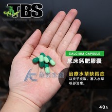 【AC草影】TBS 翠湖 底床鈣肥膠囊 40錠 - 水草根肥 陰性水草適用 初學者專用 水草肥料 水草液肥, 1個