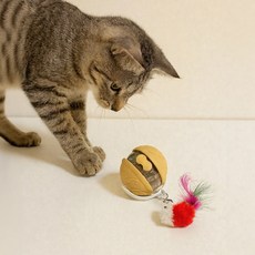 MAAH 고양이 새소리나는 발광 자동 장난감 SCB-08 [KC인증], 1개, 허니베이지