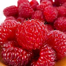 국내산 산딸기 250g x 1팩, 1개