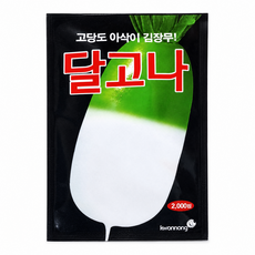 [주주씨앗] 달고나 무 씨앗 2000립 김장무 가을무 종자 씨 채소씨앗, 1개