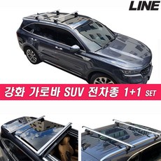 자동차 가로바 루프렉 루프캐리어 SUV 차종 가로바 6종, 2개, 실버