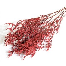 화연양화 프리저브드플라워 미스티블루 6가지색 드라이플라워 시들지않는생화, 05 레드