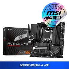 MSI PRO B650M-A WIFI, 단일