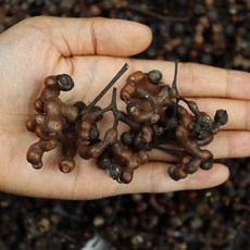 월악산 제천 헛개나무 열매 국내산 산지직송, 1박스, 1Kg