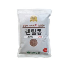 대한농산 브라운렌틸콩 2kg 렌틸콩, 1개