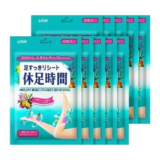 라이온 휴족시간 6매입 10개