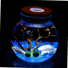 유리병용기 마리모유리어항 마리모키우기 LED 59000EA 1EA, 본상품