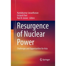 Resurgence of Nuclear Power: Challenges and Opportunities for Asia Paperback, Springer