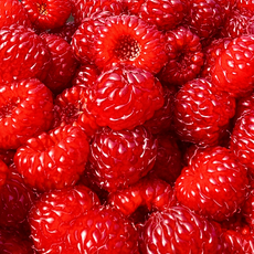 [100%산지직송] 당일수확 제철맞은 생 산딸기, 2개, 250g