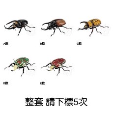 M.M小舖 BANDAI 轉蛋 扭蛋 生物大圖鑑 獨角仙08 獨角仙 昆蟲 模型 全5款, 1個, 整套(金額720，下X5)1F150