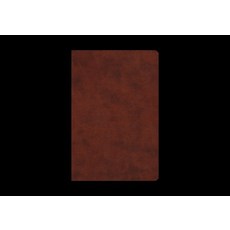 (영문도서)ESV Gospel Transformation Study Bible: Christ in All of Scripture Grace... Imitation Leather, Crossway, English, 9781433595639
