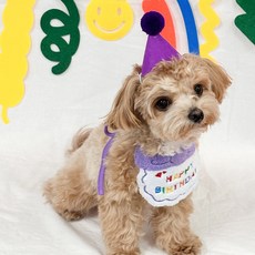 랄라댕댕 강아지 고양이 생일파티 돌잔치 턱받이 모자, 퍼플, 1세트