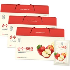 국내산 사과 NFC 착즙 사과즙 밸런스 액상 주스 GR-E, 3개, 3L