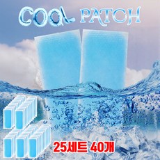 [파인스토리]아이스 쿨패치 붙이는 냉각 시트 시원한 냉찜질 쿨팩 냉감패드, 25세트